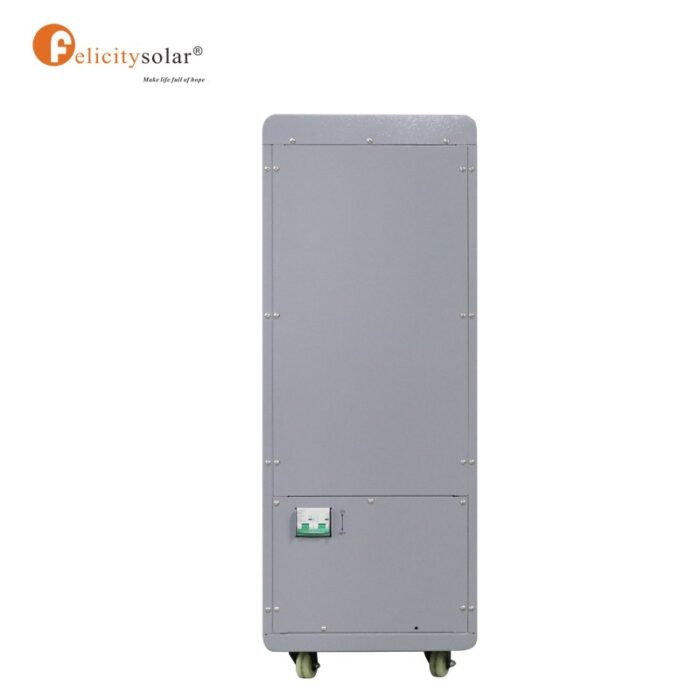 FL-LPBF48250-48V-12.5KWH-lithium-battery-back-view